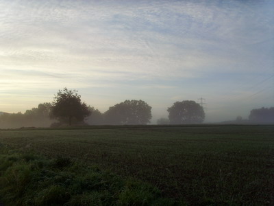 Taunus