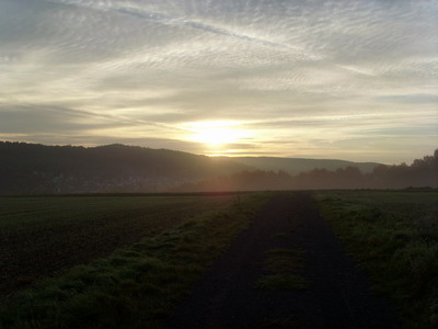 Taunus