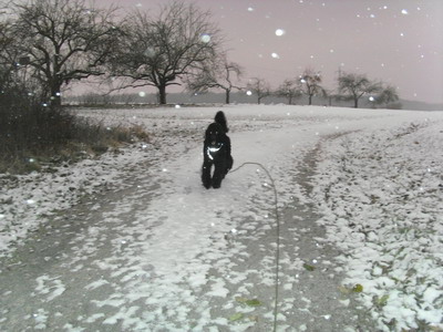 Es schneit!