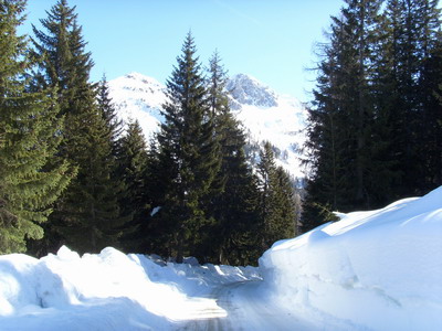 Winterlandschaft