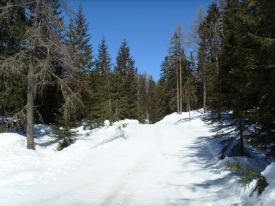 Winterlandschaft