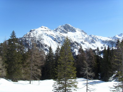 Winterlandschaft