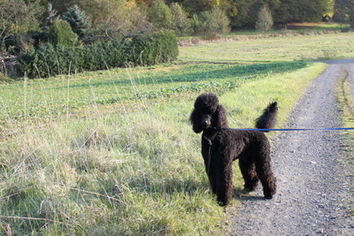 Spaziergang