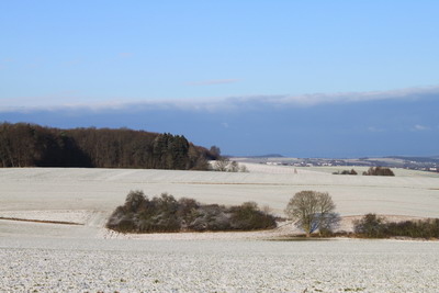 Schnee im Taunus